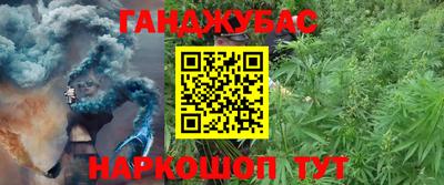 крисы Бузулук